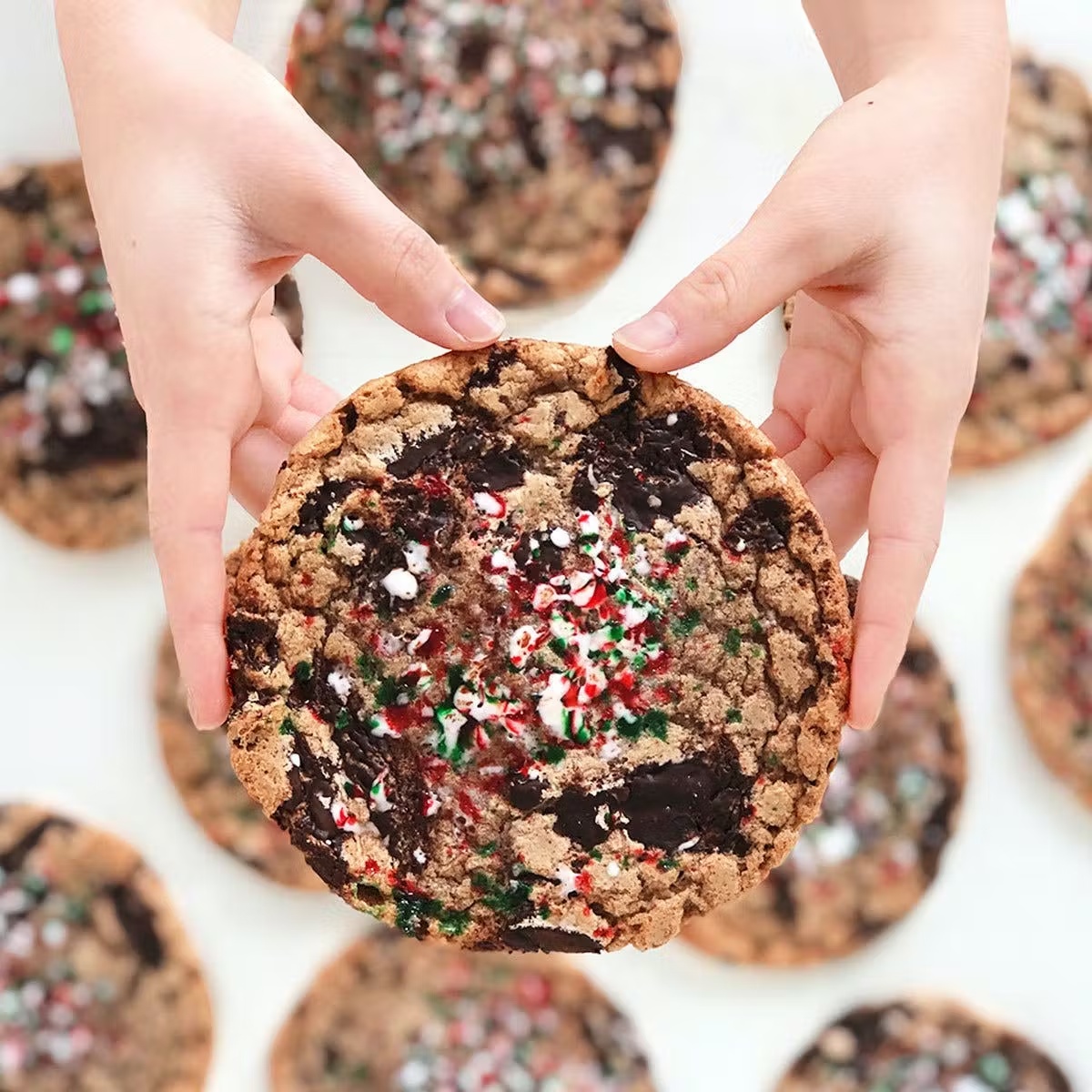 Jacquesâ Famous Chocolate Chip Cookies With Crushed Candy Cane - 12 Pack