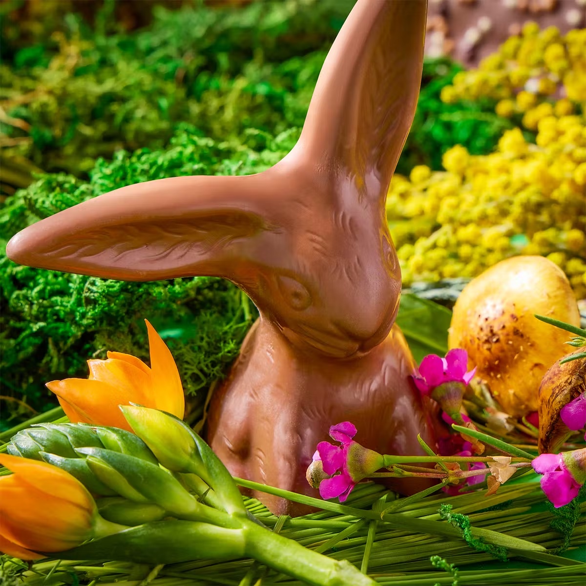 Magical Flop-Eared Chocolate Bunny Bundle