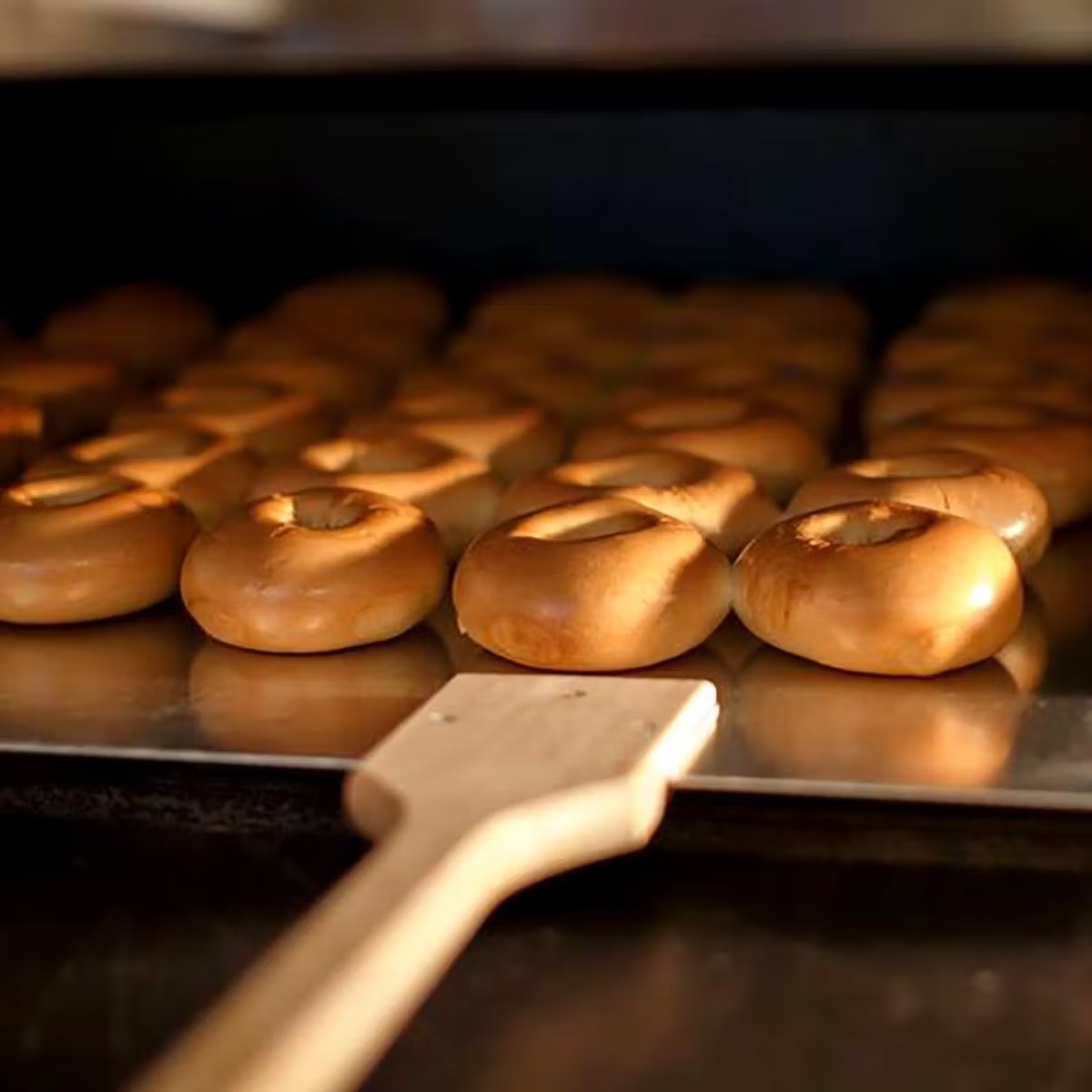 5703-two-dozen-bagels-kosher–1.jpg
