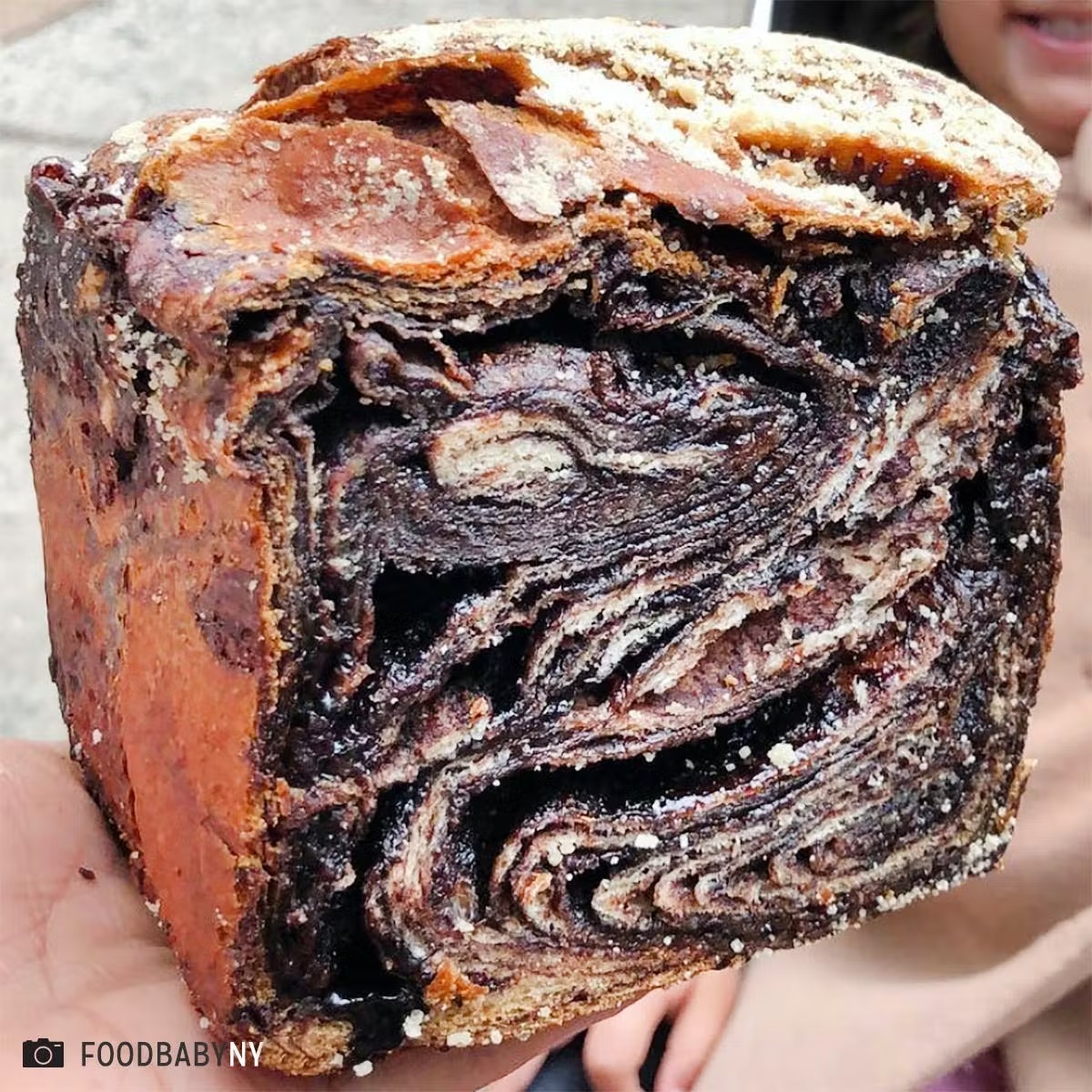 5906-double-light-chocolate-babka-combo-1.jpg