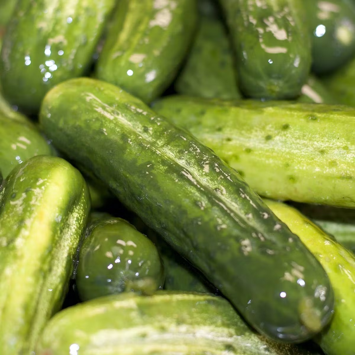 6193-choose-your-own-classic-pickles-4-quarts-1.jpg