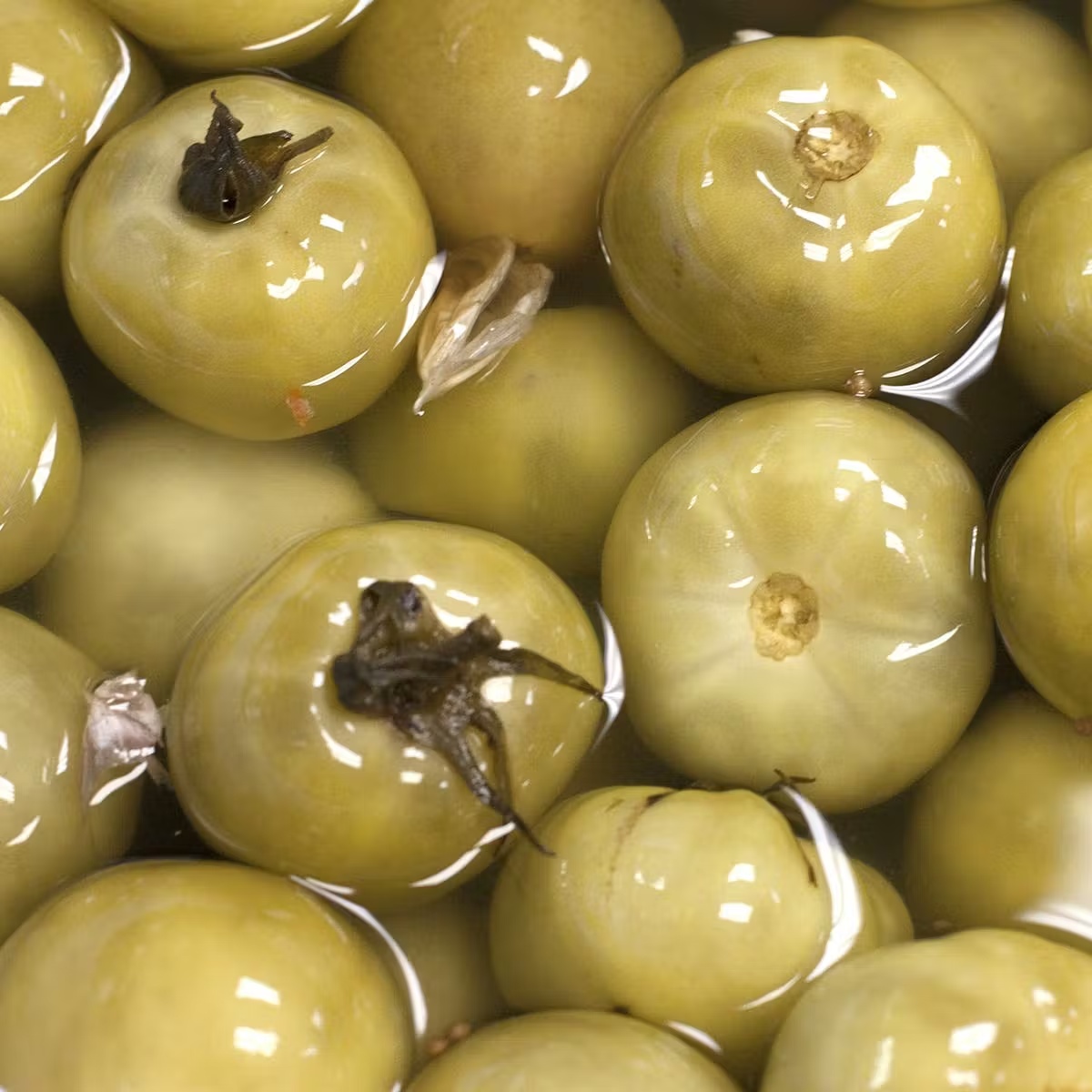 6202-pickled-tomatoes-4-quarts-1.jpg