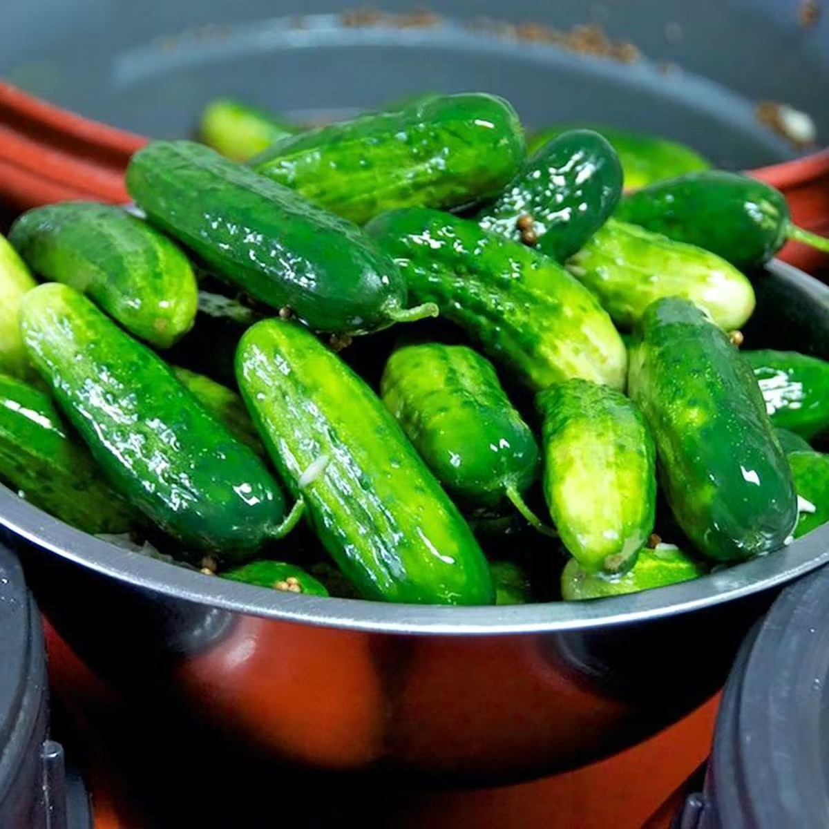 6204-1-2-sour-pickles-4-quarts-1.jpg