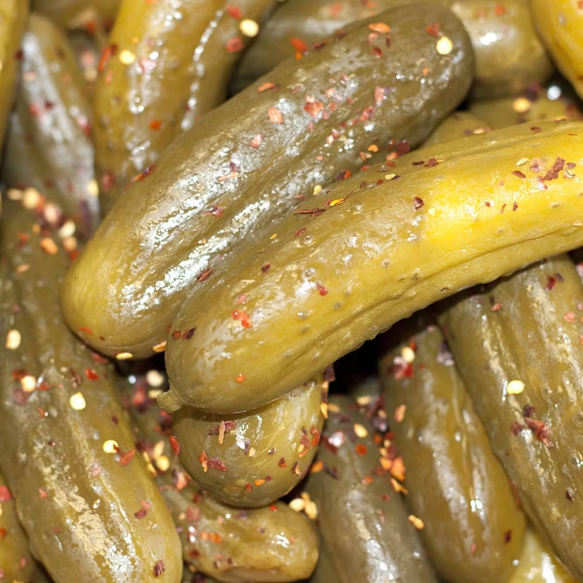 6204-1-2-sour-pickles-4-quarts-1.jpg