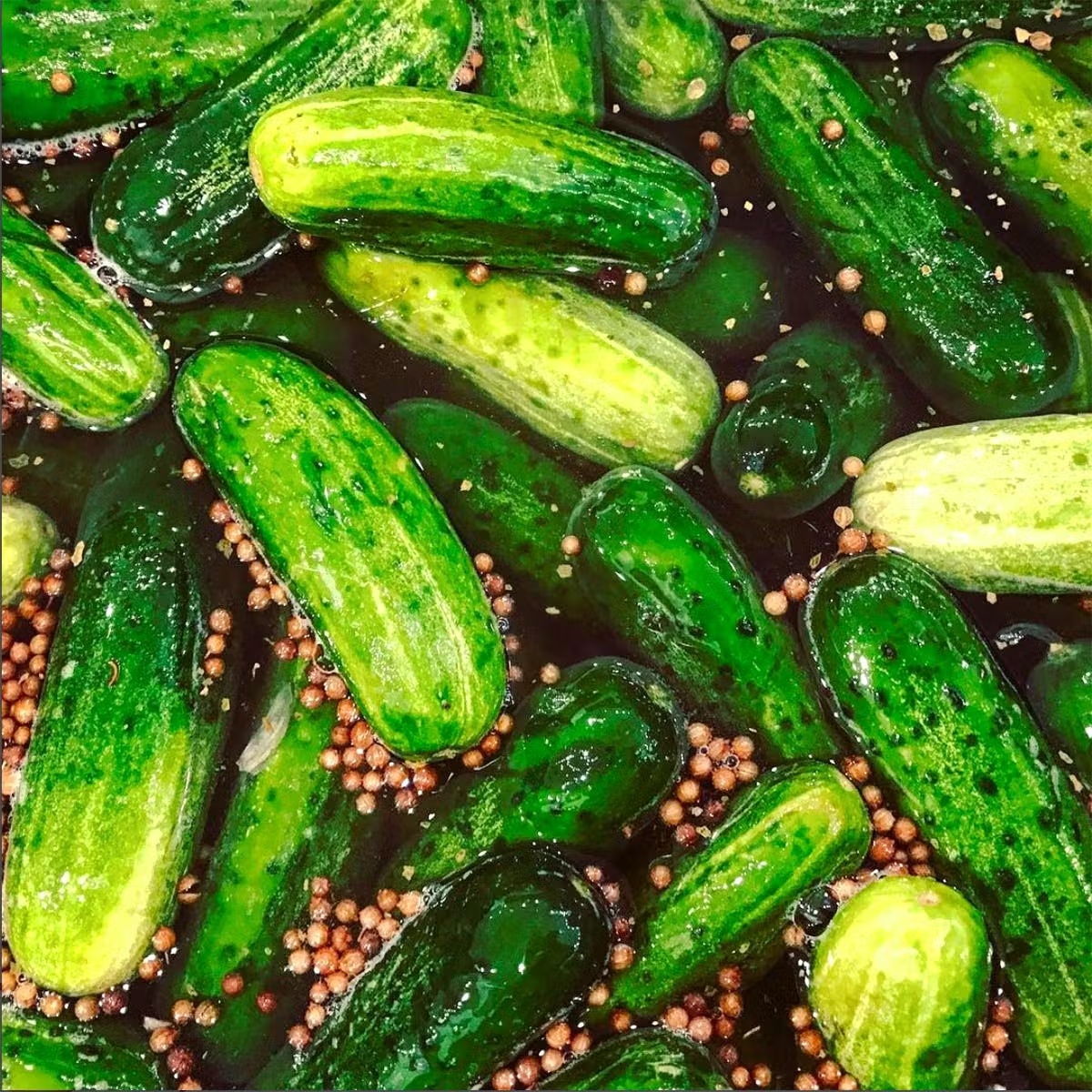 Signature Classic Pickles - 4 Quarts