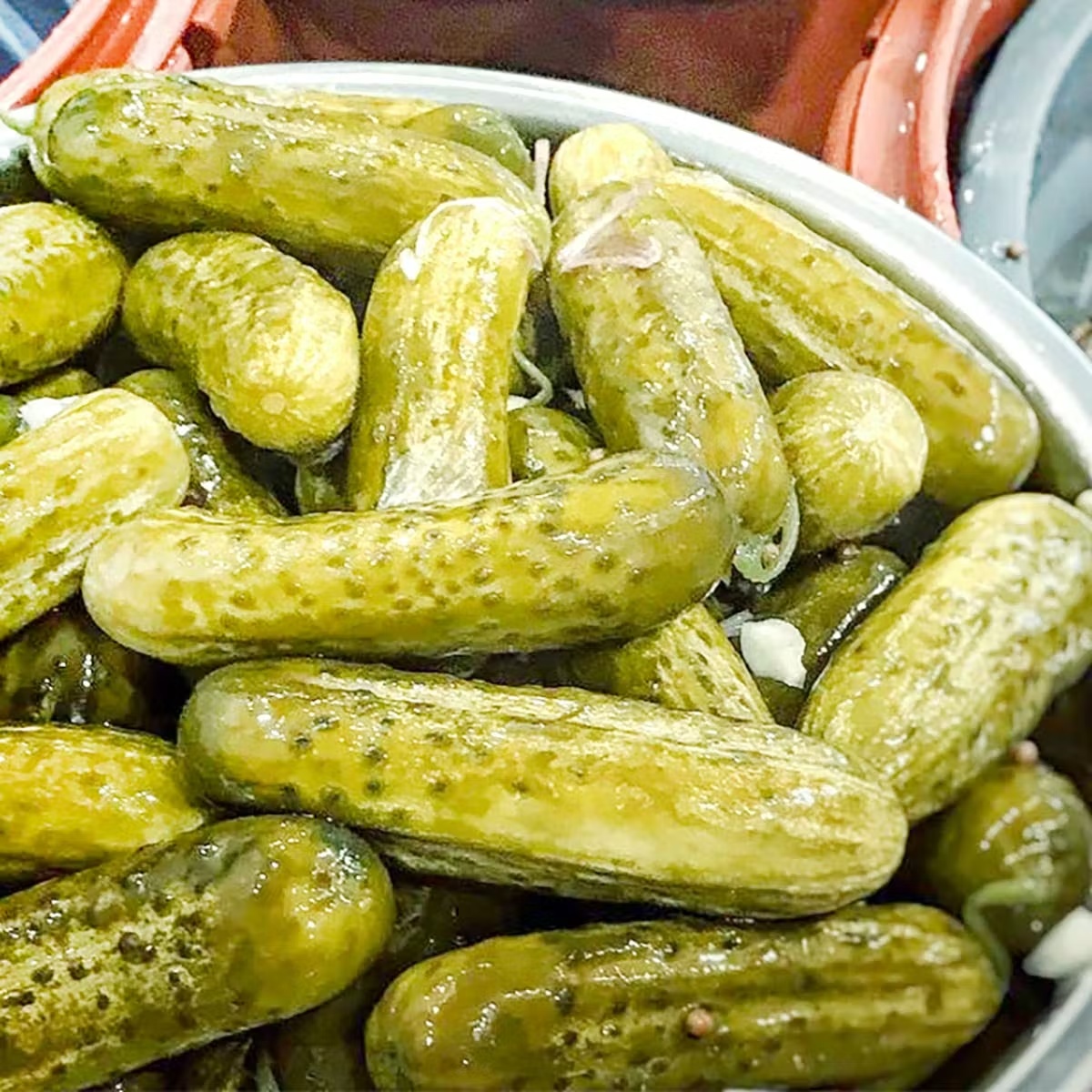 6205-signature-classic-pickles-4-quarts-1.jpg