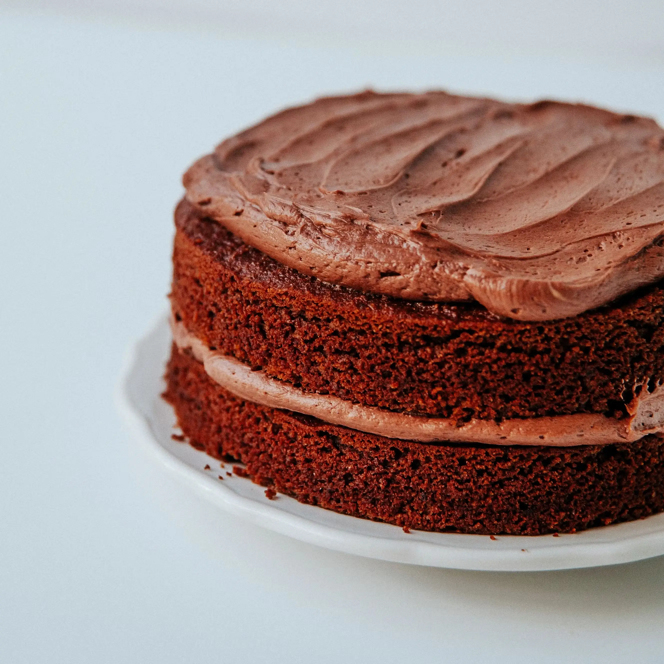 Paleo Chocolate Cake Mix