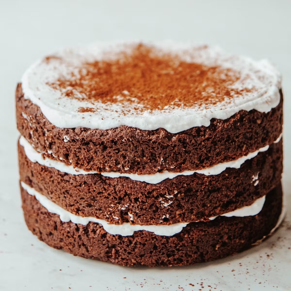 Chocolate Vegan Keto Cake