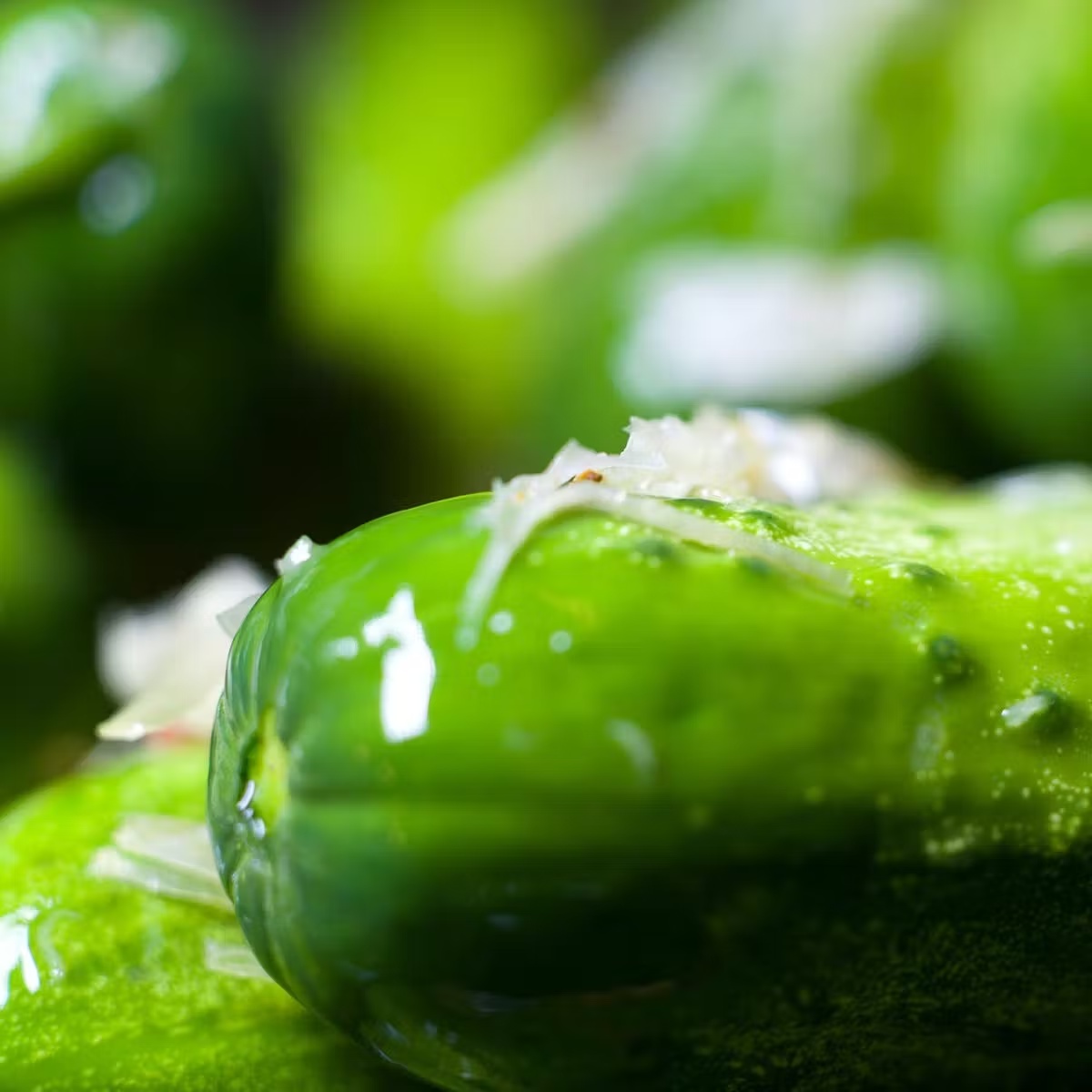 Sour Pickles