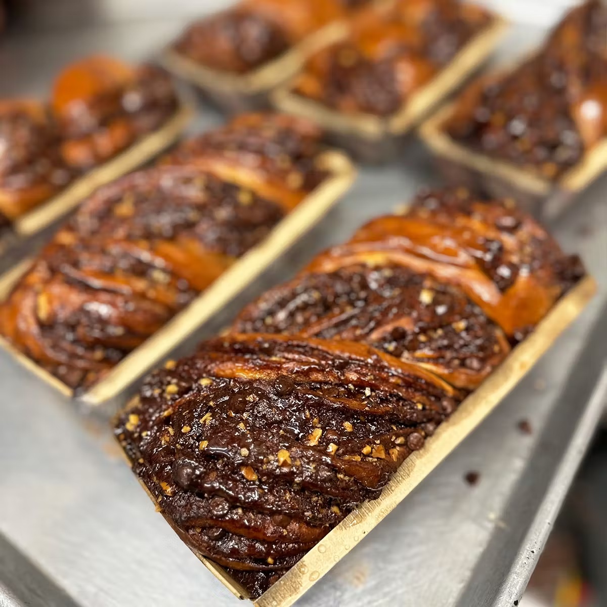 6342-chocolate-babka-2-pack-1.jpg