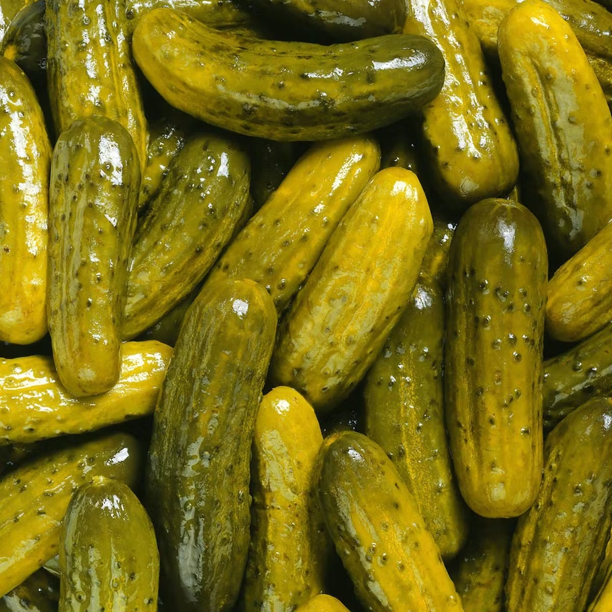 NY Sour Pickles - 1 gallon