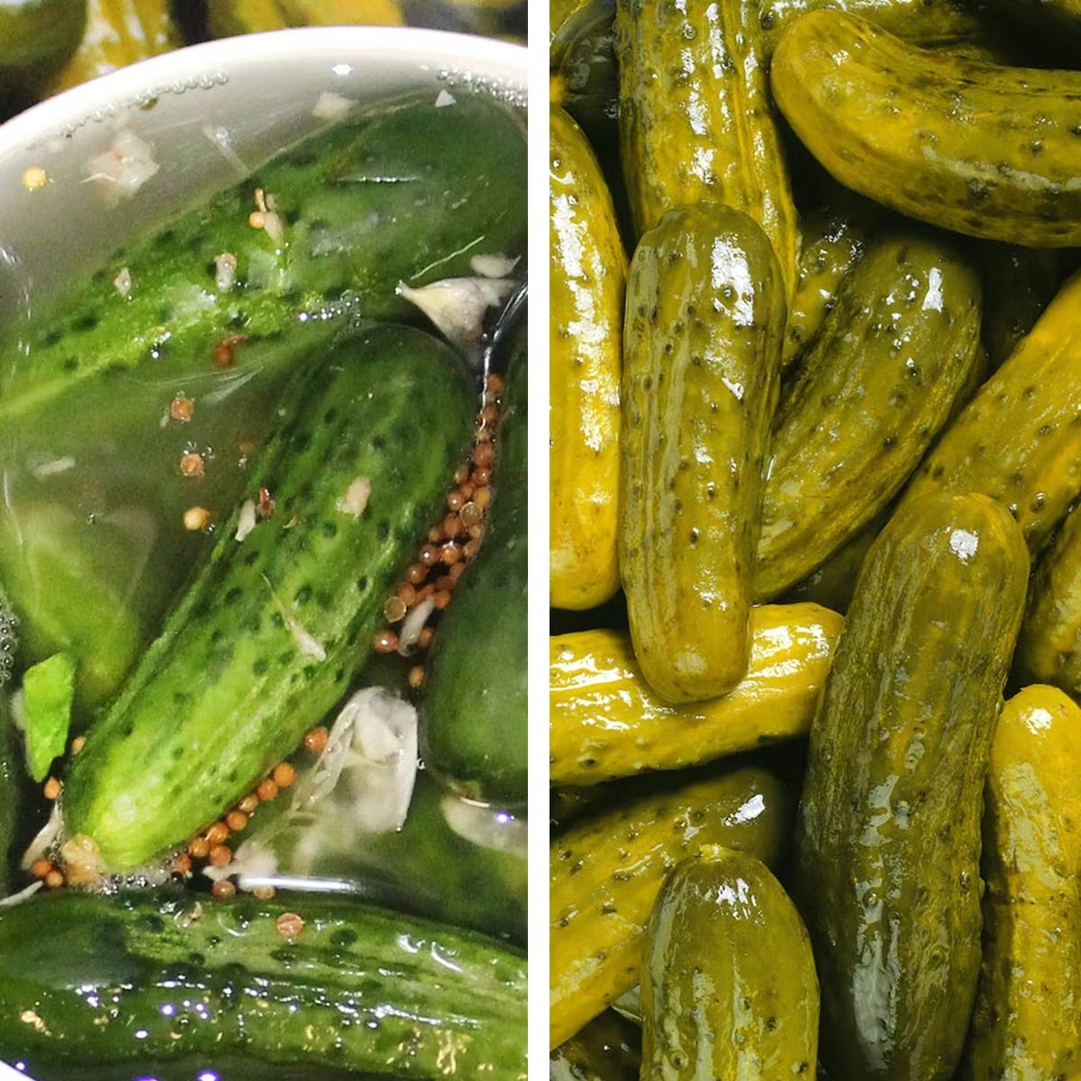 5-Gallon Pickle Pail