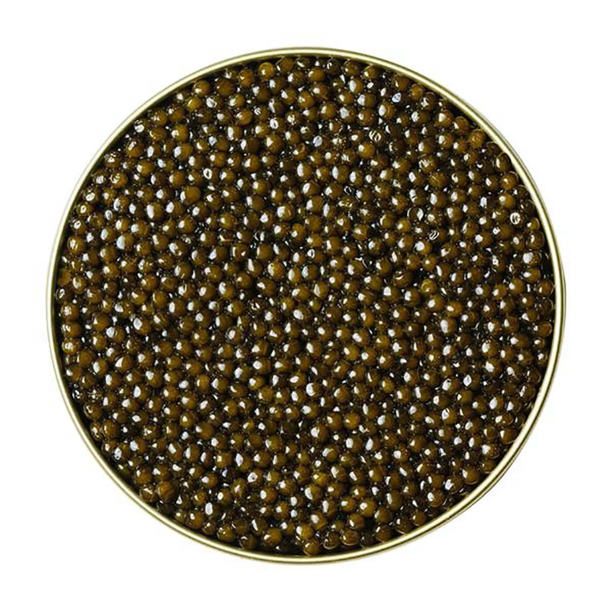 Hybrid Caviar