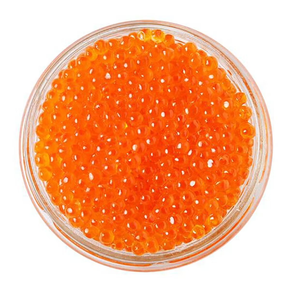 Trout Roe