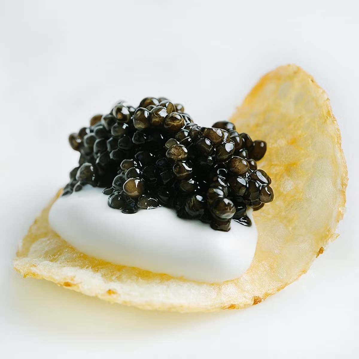 6448-signature-caviar-pack-1.jpg