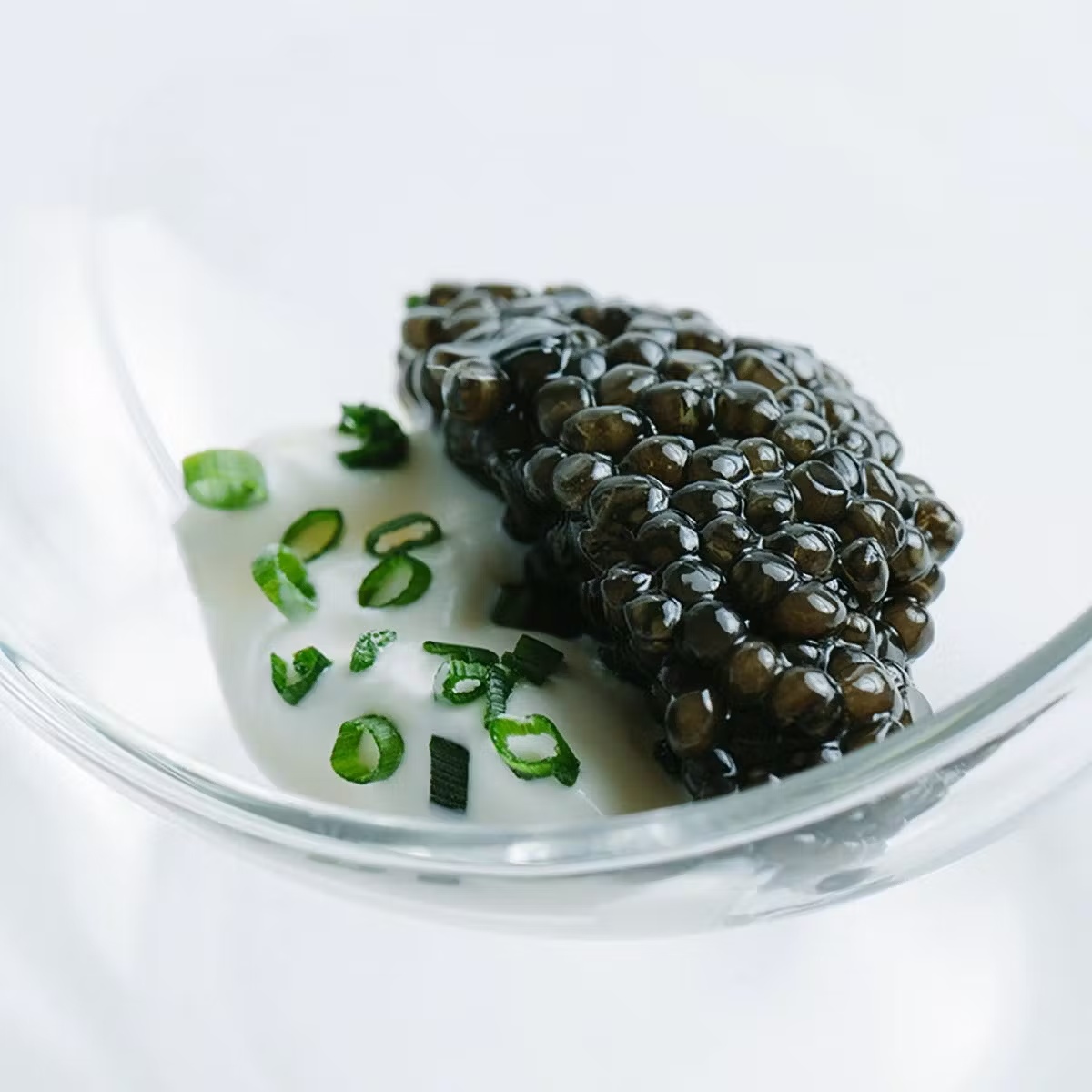 6448-signature-caviar-pack-1.jpg