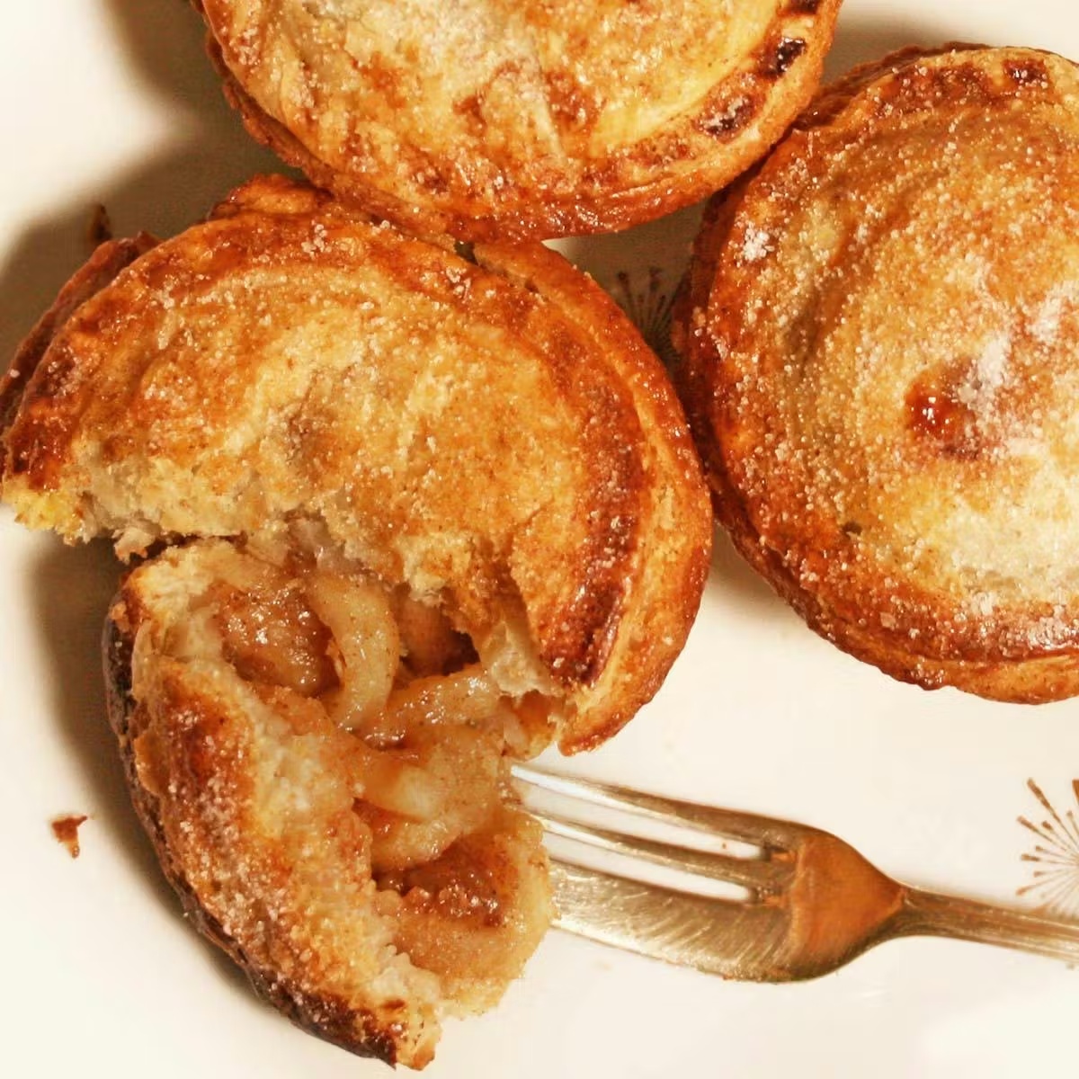 6777-panbury-hand-pies-buy-6-savory-get-6-sweet-free-1.jpg