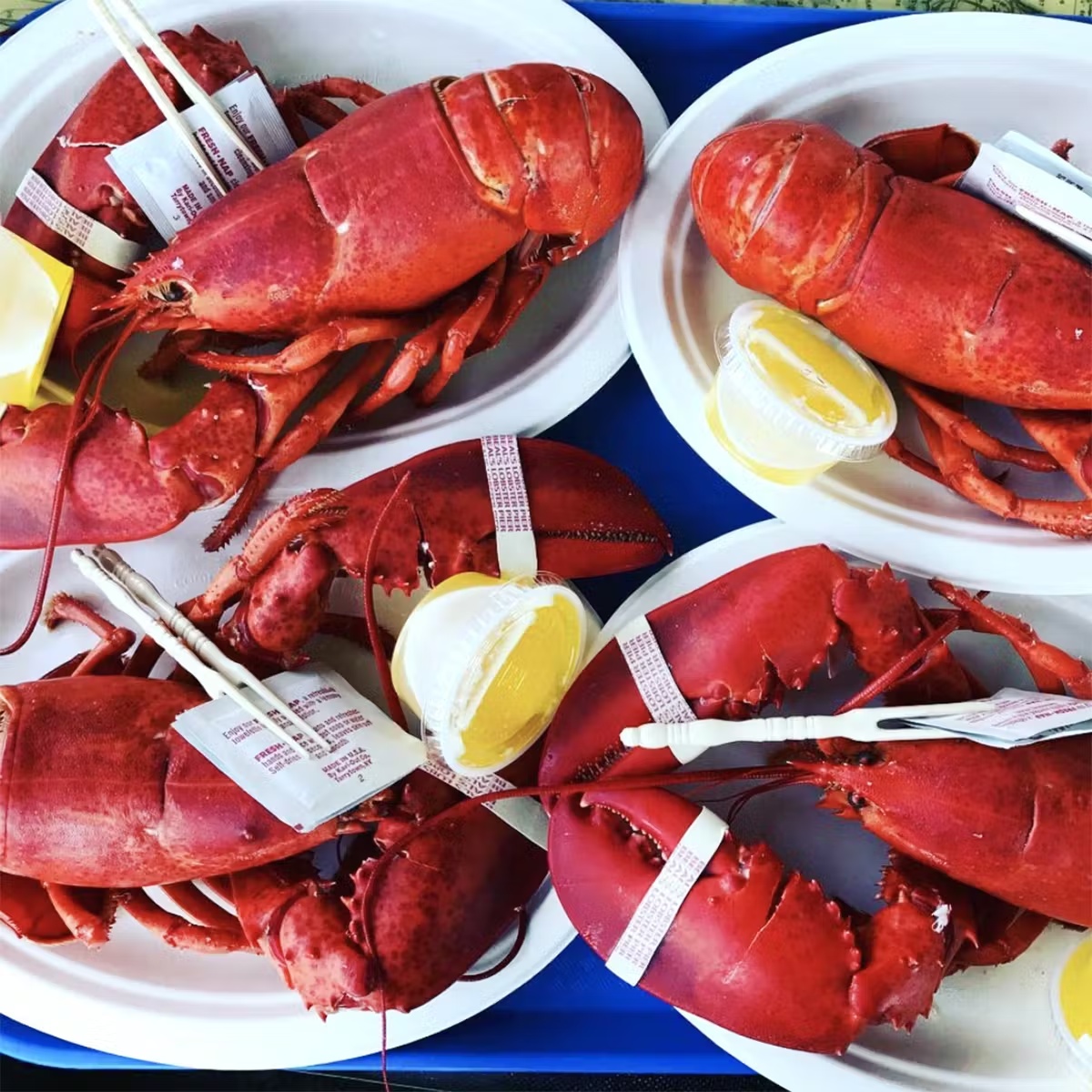 Lobster - Choose Your Own