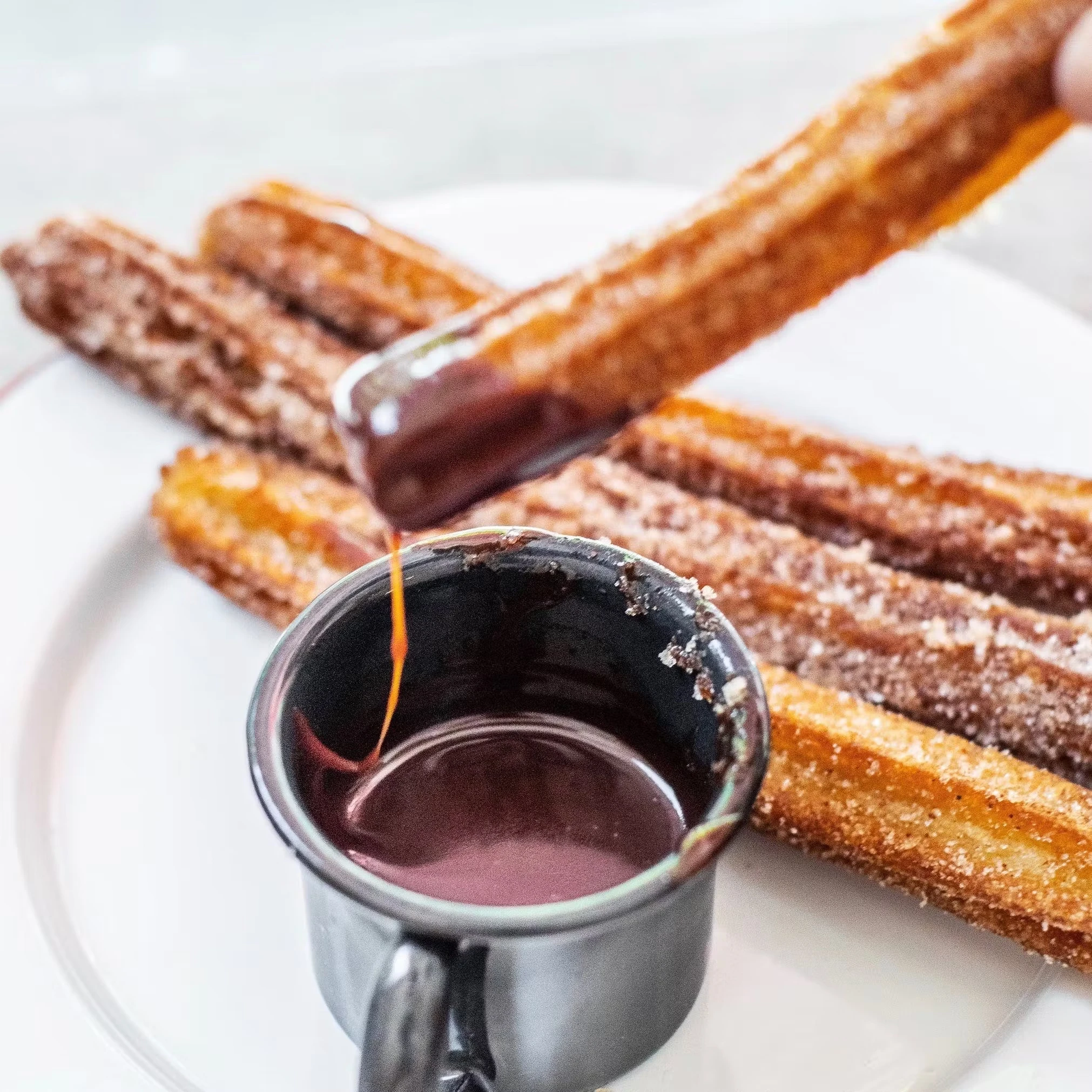 6863-mexican-churros-1.webp