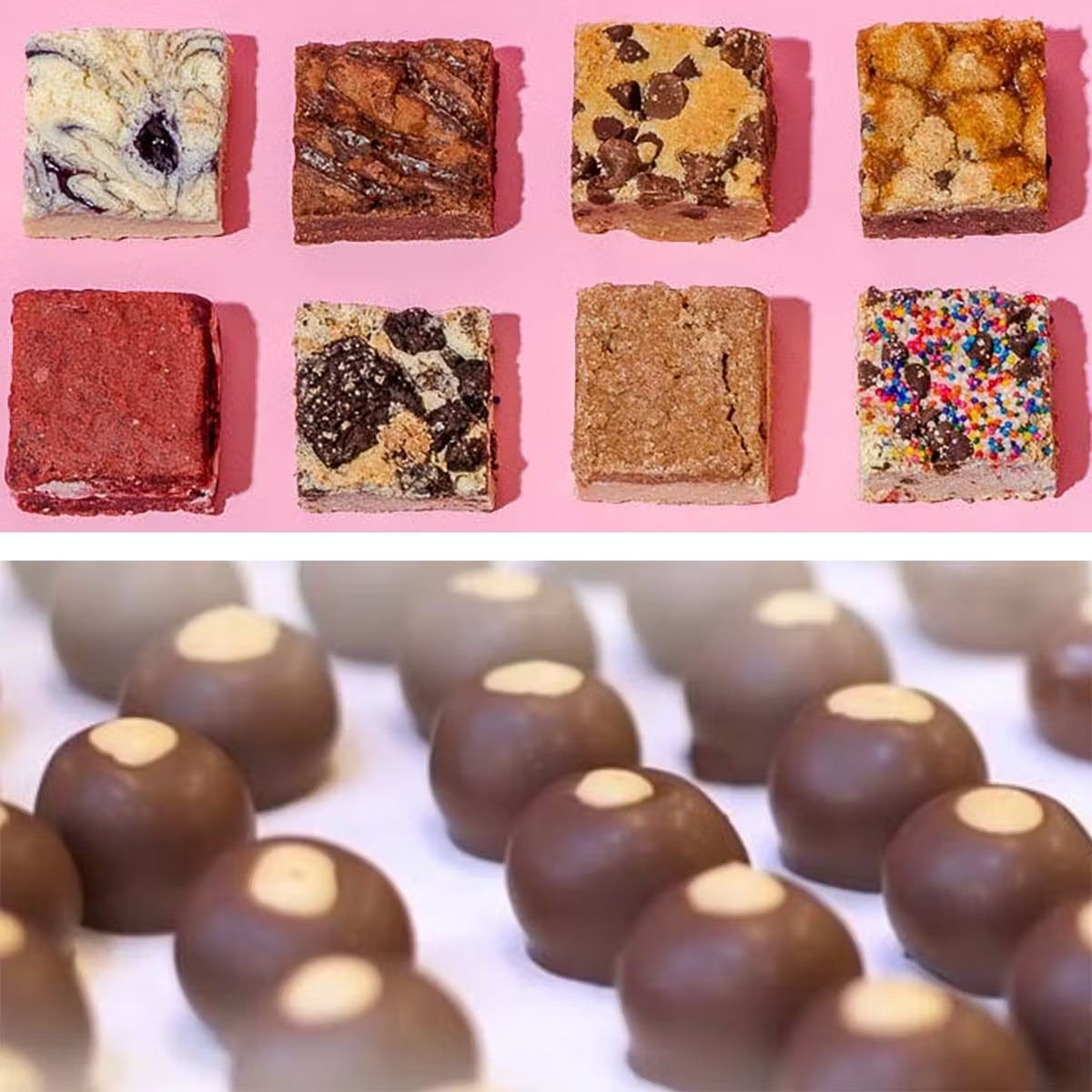Buckeyes and Brownies - 12 Pack