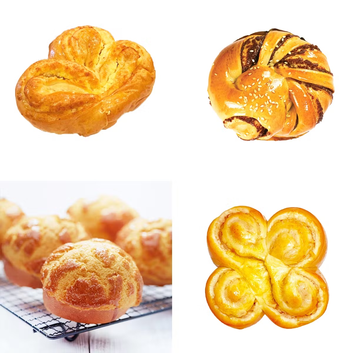 Chinese Sweet Bun Dozen Sampler