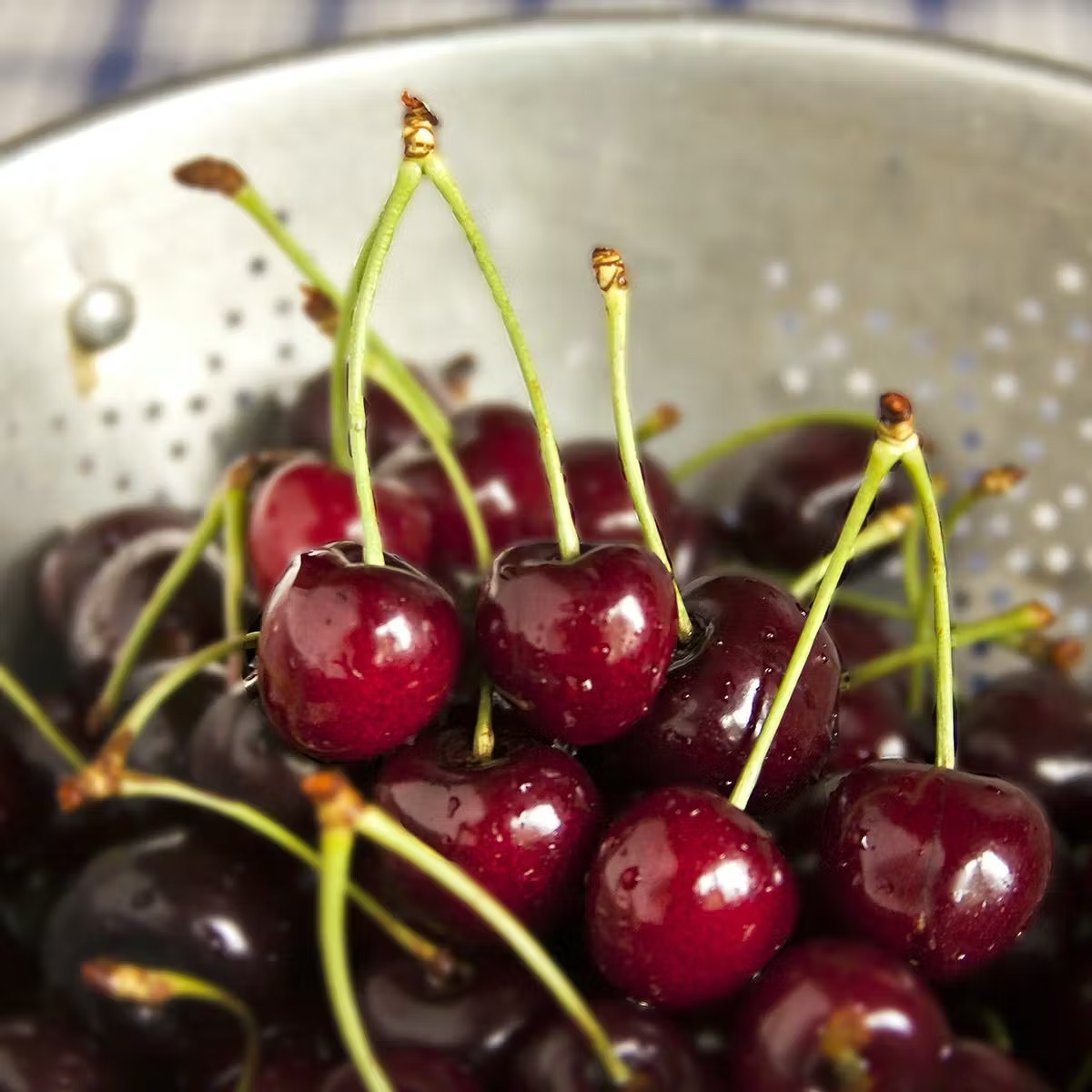 Sweet Michigan "Ulster" Cherries