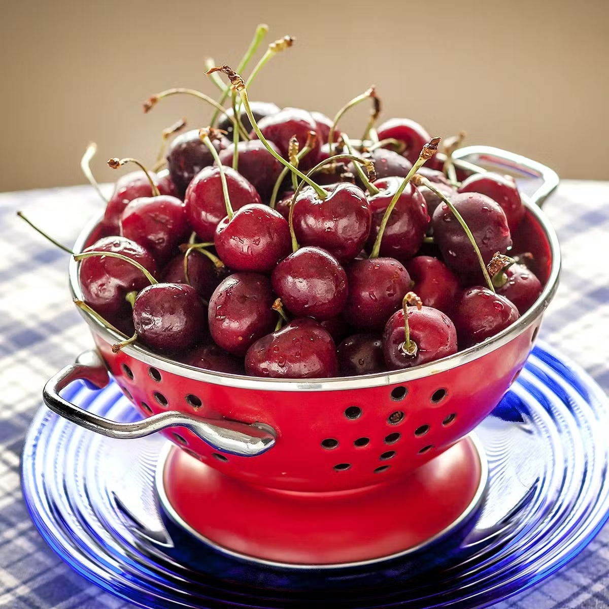Sour Michigan "Balaton" Cherries