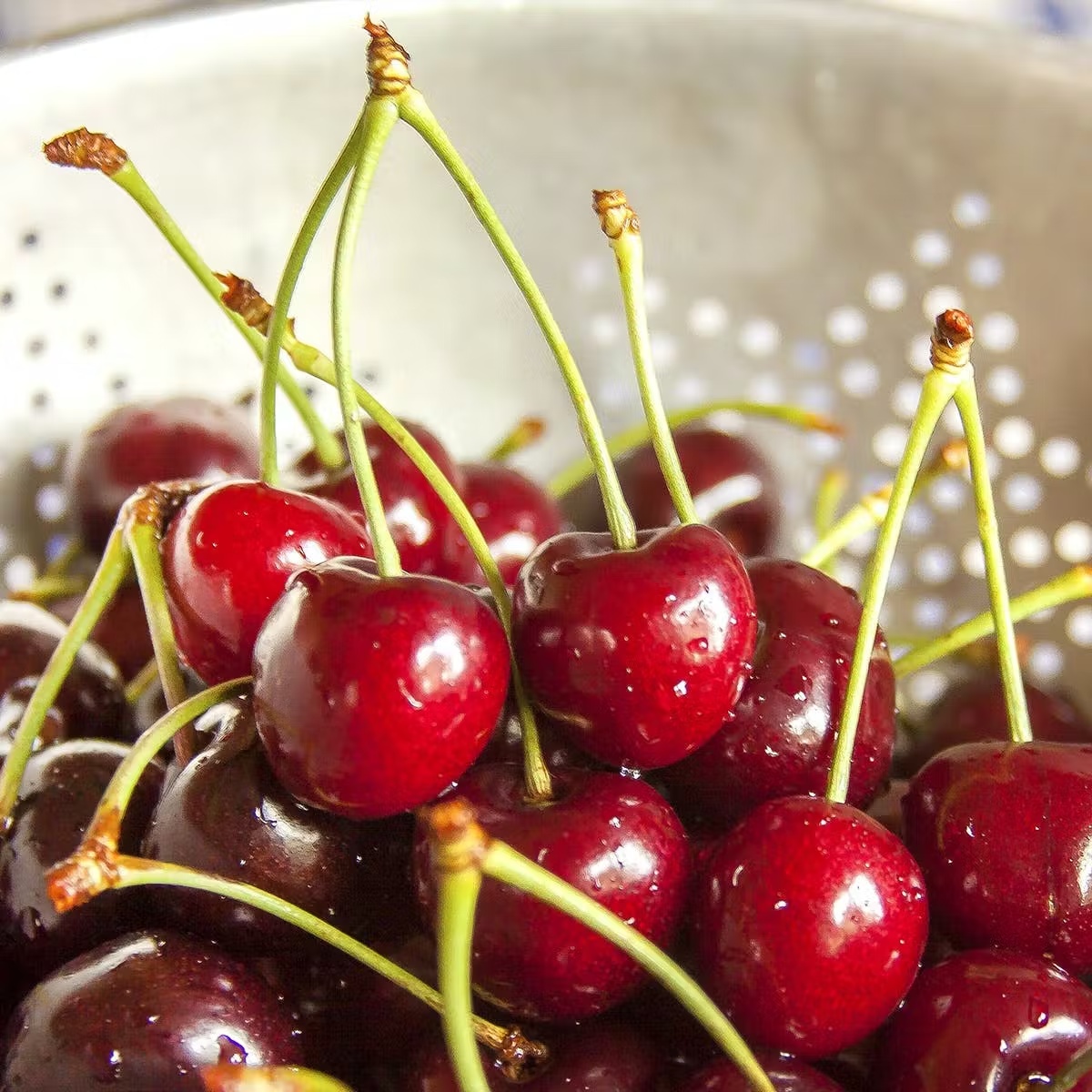 Sweet & Sour Michigan Cherries Combo - 6 lbs
