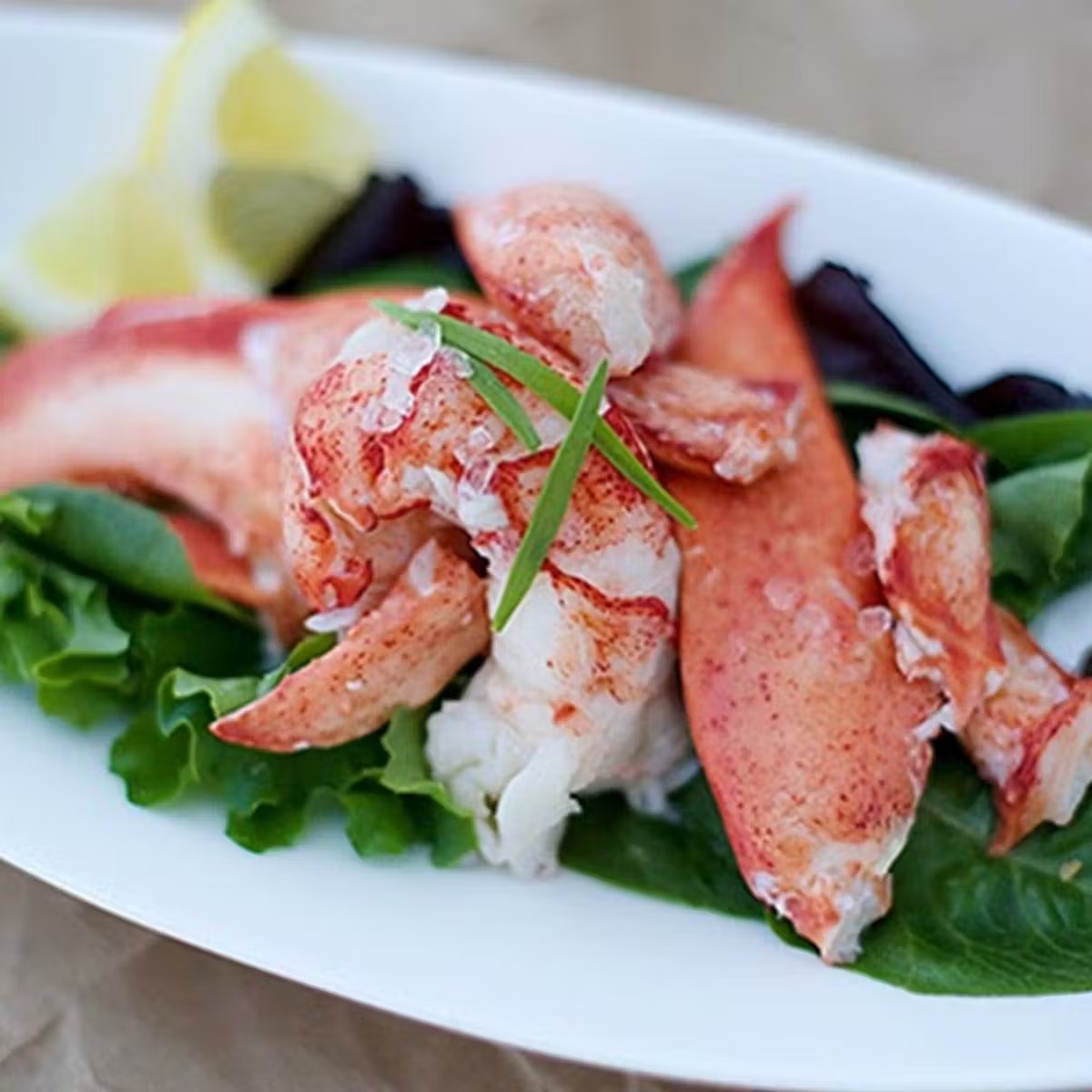 Cold Water Maine Lobster Meat - 2 lbs.