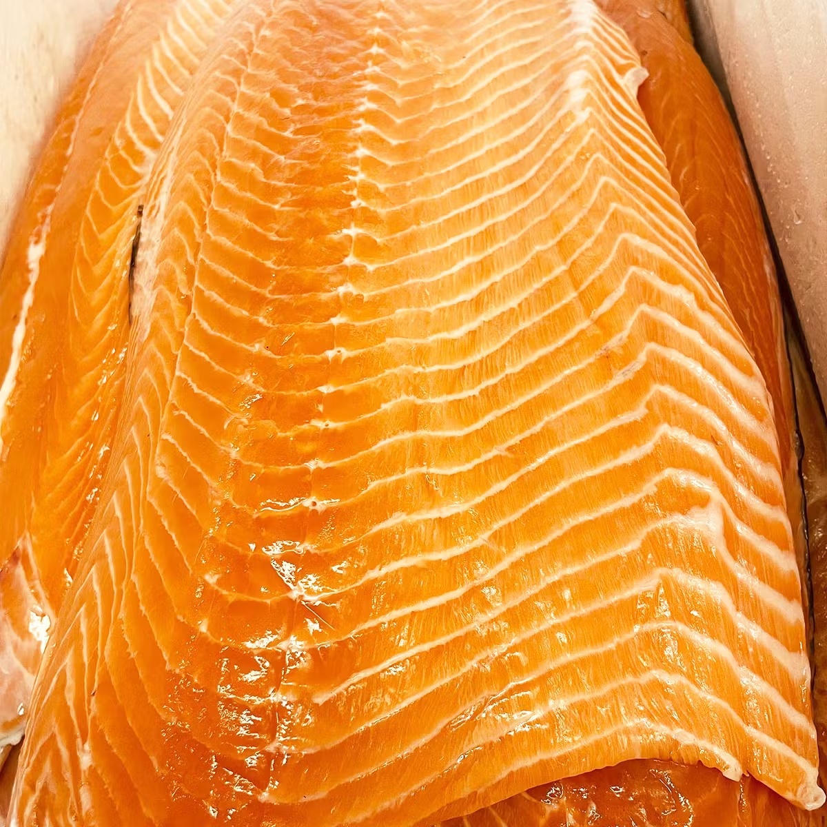 7587-smoked-kippered-salmon-1-lb–1.jpg