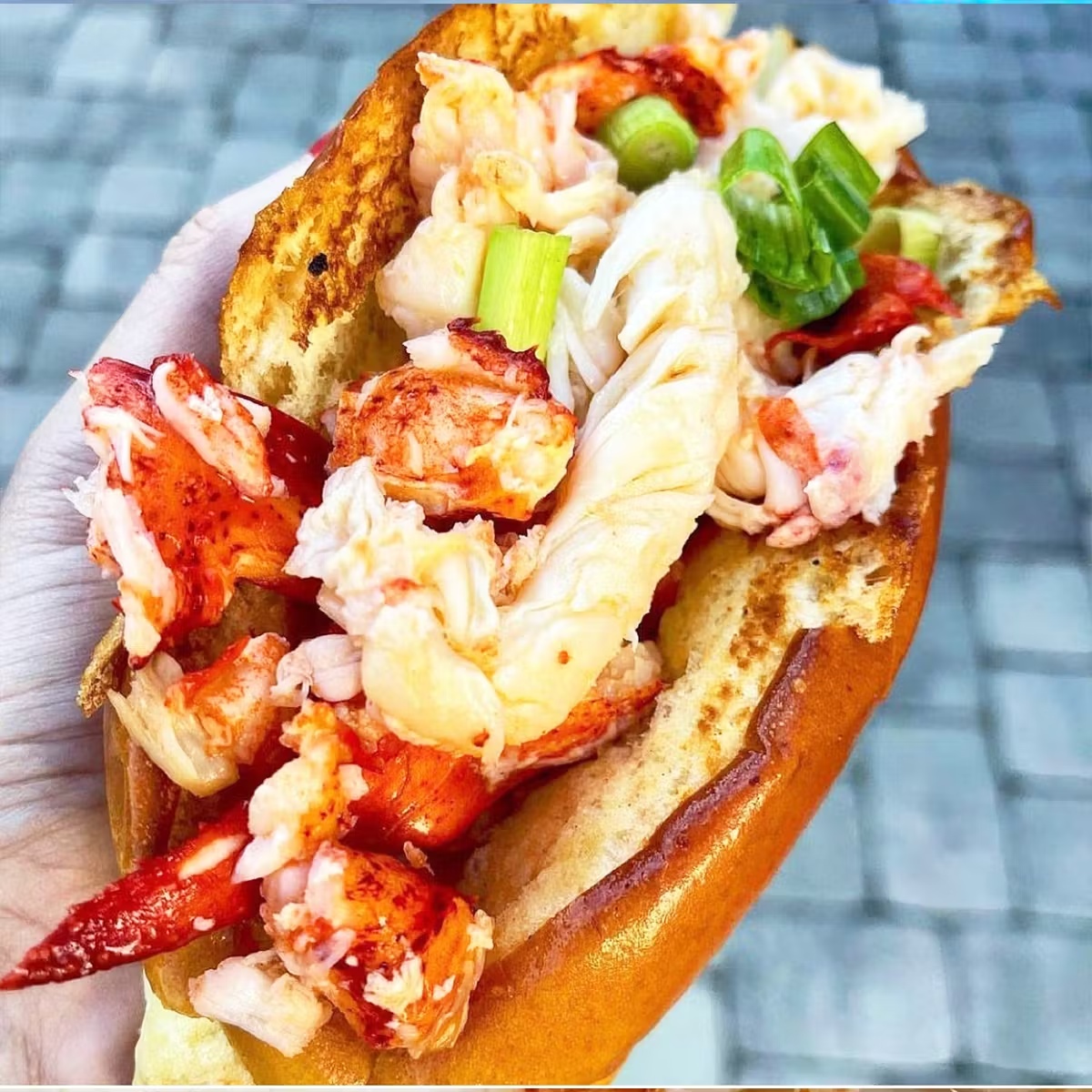 Acadia Lobster Roll Kit for 5