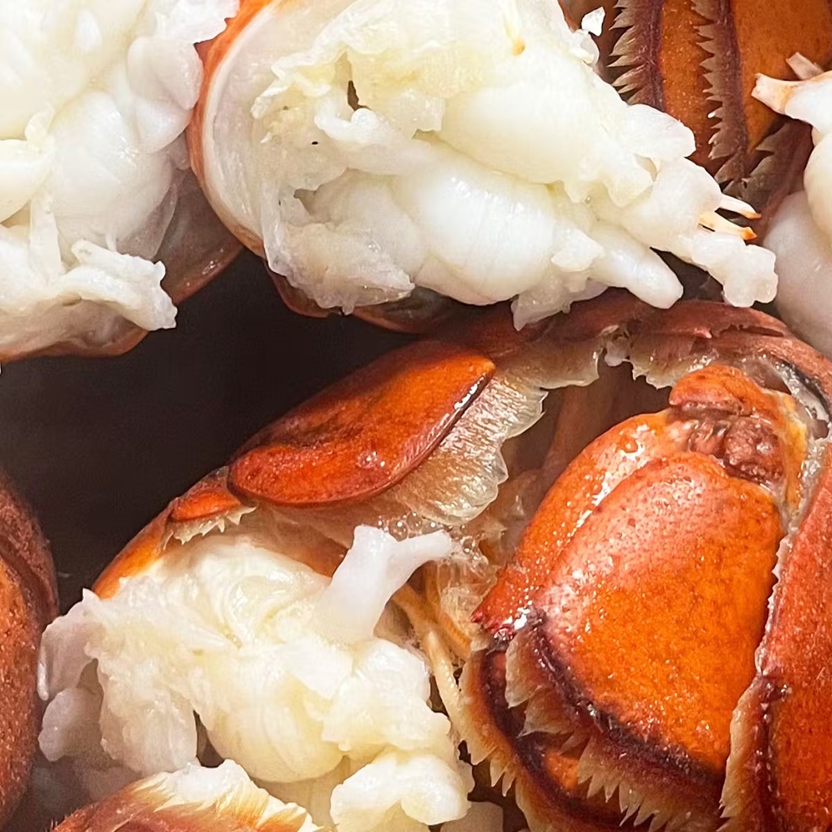 7592-acadia-lobster-roll-kit-for-5-1.jpg