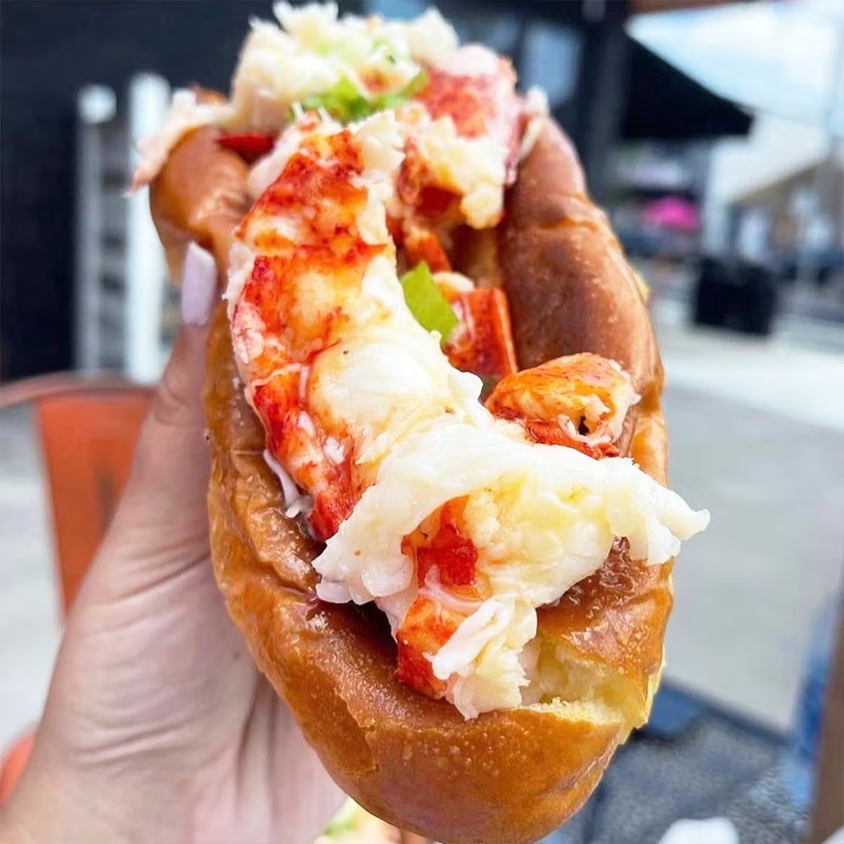 7592-acadia-lobster-roll-kit-for-5-1.jpg