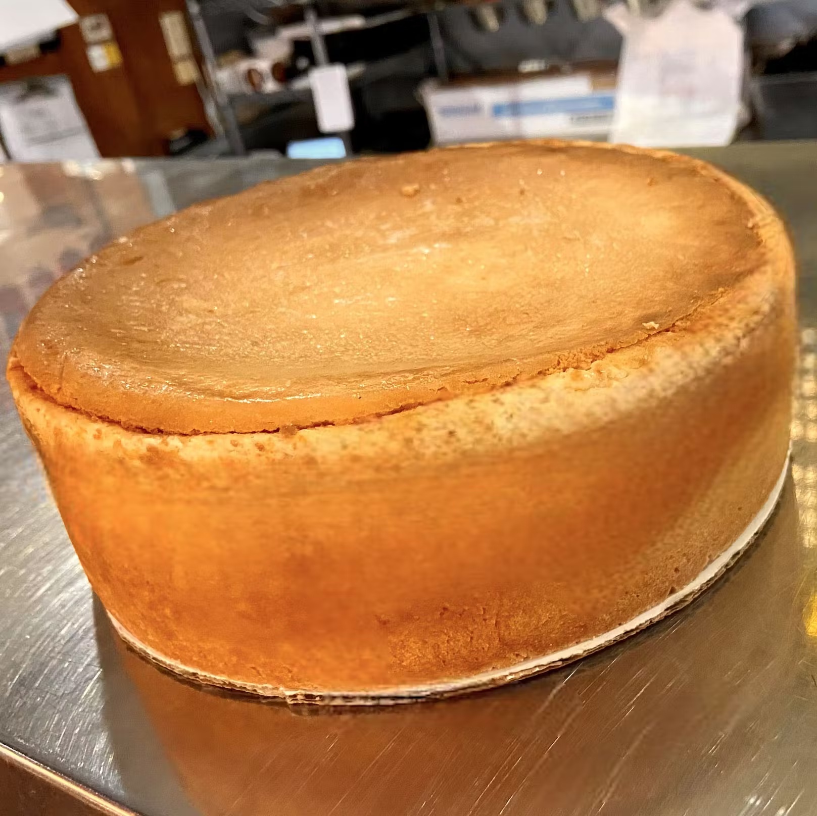 Plain Cheesecake - 8"