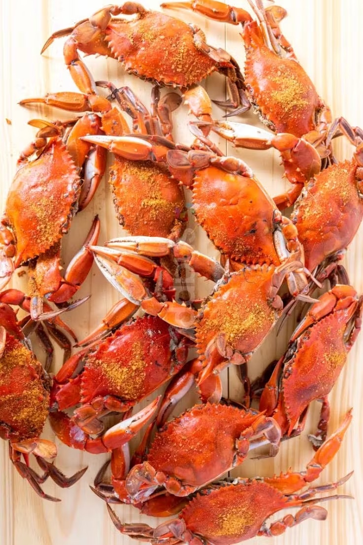 Obryckiâs Premium Hardshell Crabs