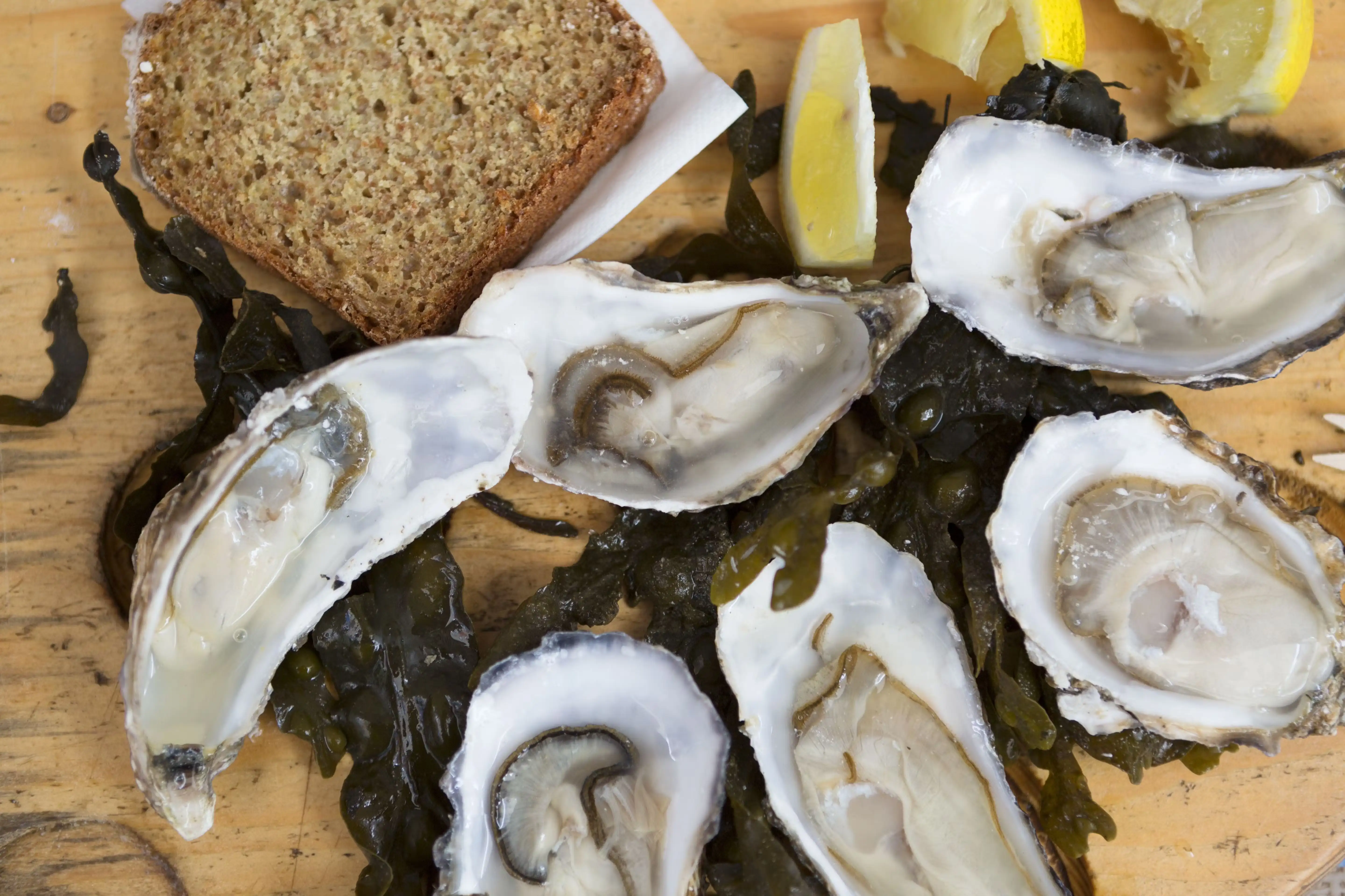 Shucked Louisiana Oysters